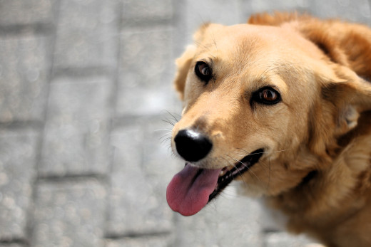 �1756597 �������(a): ����������:4845x3230